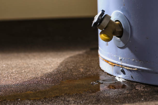 Best Water damage restoration near me  in De Soto, KS