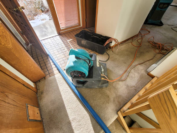 Best Ceiling water damage repair  in De Soto, KS