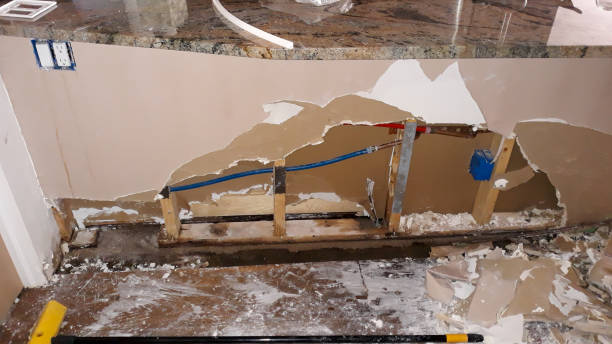 Best Flood restoration services  in De Soto, KS