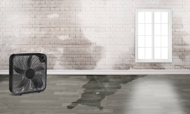  De Soto, KS Water damage restoration Pros