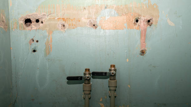 Best 24-hour water damage restoration  in De Soto, KS
