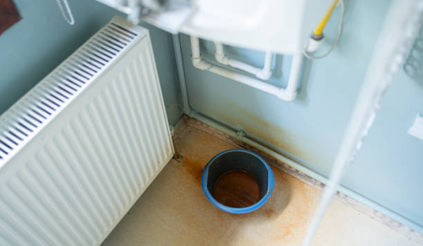 Best Water damage repair service  in De Soto, KS