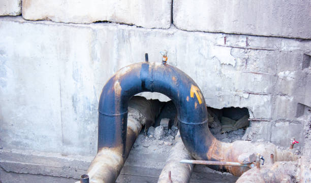 Best Carpet water damage restoration  in De Soto, KS