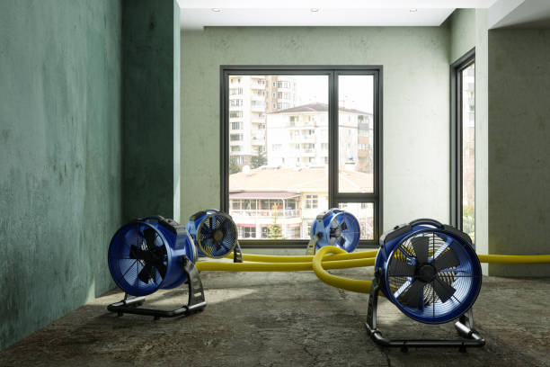 Best Emergency water damage restoration  in De Soto, KS