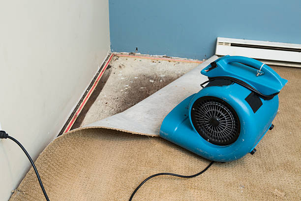Best Water damage mitigation services  in De Soto, KS